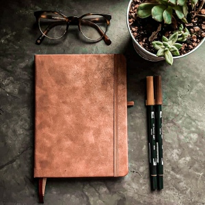 A brown journal lays on a dark granite desk top. Around it, there are two Tombow dual brush pens, a succulent plant, and a pair of tortoise shell glasses.